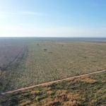 Fazenda Três Riachos à venda - Santa Fé de Minas/MG