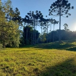 TERRENO EM CONDOMINIO FECHADO NO CAMPO LARGO, 1.060,12 m2, OPORTUNIDADE