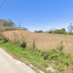 TERRENO, CAMPO MAGRO, JD SAMAMBAIA, 67.905,50 M2,  A 1,5 KM DA ROTATÓRIA DO JD CECÍLIA.