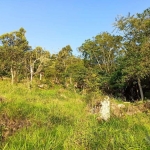 Terreno para Venda em Florianópolis, Sambaqui