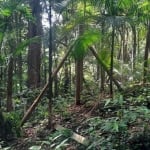 Terreno para Venda em Florianópolis, Carianos