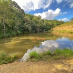 Sítio à venda, 10Alqueires  por R$ 2.500.000 - Rural Bairro dos Paulos- São Miguel Arcanjo/SP