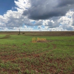 Fazenda à venda, 16500000 m² por R$ 100.000.000 - Jardim Nova Barra Sul - Barra do Garças/MT