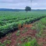 Fazenda à venda, 30 Alqueires por R$ 10.500.000 - Zona Rural - Tatuí/SP