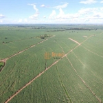Fazenda à venda, 263 Alqueires por R$ 51.000.000 - Zona Rural - Mirandópolis/SP