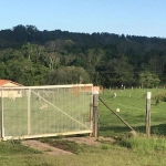 Sítio à venda, 20 Alqueires por R$ 2.800.000 - Área Rural - Itapetininga/SP