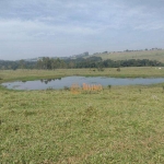 Sítio à venda, 12 Alqueires por R$ 2.500.000 - Área Rural - Itapetininga/SP