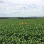 Fazenda com 3 dormitórios à venda, 1185800 m² por R$ 10.500.000 - Zona Rural - Tatuí/SP