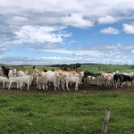 Fazenda à venda, 87 Alqueires por R$ 22.000.000 - Alambari/SP