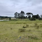 Excelente Área Industrial com 57.000m2  proximo a Audi,  à venda em São José dos Pinhais, Campo Largo da Roseira