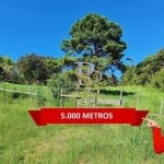 Área À Venda - 5.000 m² - Contrato de Compra e Venda - Terra Preta, Mairiporã/SP.