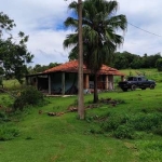 EXCELENTE FAZENDA A VENDA EM SÃO MIGUEL ARCANJO-SP ??   Área Total: 75 Alqueires  Aproveitamento: 65%   Agricultura: 20 Alqueires  Eucalipto: 18 Alqueires    Arrendamento: Eucatex até 2.036  Solo: Mis