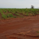 Fazenda de 500 Alqueireis paulistas, sem benfeitorias, plantada em cana sai R$ 4.000,00 o alqueire pra arrendamento.