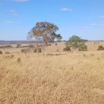 Fazenda Disponível pra Venda......No Estado de Goiás........No município de Luziania. Goiás......Valor da pedida 230.000.00 por Alqueires........ou ta