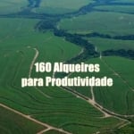 Fazenda à venda em Porto Feliz-SP na Zona Rural: 1 quarto, 1 banheiro, 3.872.000,00 m² de área