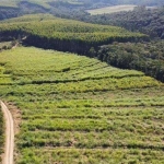 Sitio  19 Alqueires   - Aproveitamento de 13 Alqueires   - Boa Topografia  - Ribeirão com ótimo fluxo de Água   - 9 km do Asfalto, Ótima Estrada   - C