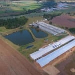 Sitio c/ Granja 8 Alqueires, 6 barracões Modernos sendo 2 Barracões Novo, Granjas Automáticas, 220 mil frangos, Energia Solar e Gerador, Boa de Água