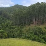 Fazenda de Eucaliptos 241,88 Alqueires ou 585,36 Hectares   Aproveitamento: 145,90 Alqueires ou 353,08 Hectares  120 Alqueires ou 290,42 Hectares em E