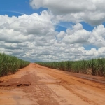 Fazenda  274 Alqueires 230 Alqueires em Cana Topografia Plana a Semi Plana Solo Mista a Vermelha Usina Viterra BioEnergia  Contrato até 2030  43,5 ton