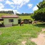 Sítio 10 Alqueires Ótima área para Gado, Eucalipto ou Pinus Casa Sede boa e galpão simples Boa de água, córrego e Nascentes  Formada em pasto