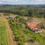 Sítio 10 Alqueires, Porteira Fechada, Dois Trator, 40 Cabeça de Búfalo, 2 Casas, 1 Barracão, Três Estufas, Rico em Água com Lago, Ótima Localização