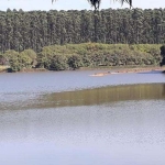 Fazenda 194 Alqueires, 135 Alqueires em Eucalipto, Rica em Água com Represa, Casa Caseiro, Barracão, Terra Vermelha, Topografia Boa