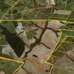 Fazenda 1231 Alqueires, 800 Alqueires em Cana, 100 Alqueires em Pasto, Ótima Topografia, Terra Vermelha, Rica em Água, Boa em Benfeitorias