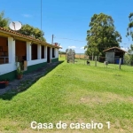 Sítio 10 Alqueires, Acesso Asfaltado, 1 Casa Sede 500m2, 2 Casas Caseiro, 3 Barracões de Granja, 10 Mil pés de Eucalipto, Poços Artesianos