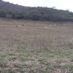 Fazenda 190 Alqueires, Rica em Água com 9 Nascentes, 100 Alqueires em Pasto, 70 Alqueires em Milho ou Soja, Casa Sede e Caseiro, Curral