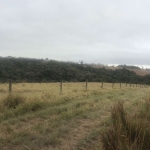 Fazenda 59 Alqueires, Rico em Água com Córrego e Nascentes, Formada em Pasto na Pecuária, Terra Mista, Boa Topografia, Poço Artesiano, 3 Casas