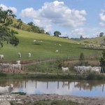 Fazenda 250 Hectares, Rica em Água com 15 Nascentes, 12 Divisões de Pasto, 50 Hectares Agricultáveis, Currais, Casas Caseiro, Casa Sede 220m2