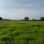 Sítio 16 Alqueires, Planta-se 13,5 Alqueires, Solo Para Lavoura, Rico em Água com Ribeirão, Curral com Brete e Balança, Casa Sede com 3 Dormitórios