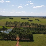 Área 55 Mil m2, Ideal Para Condomínio Logístico ou Industrias, Rico em Água com Lago, Casa Sede Simples, Fácil Acesso, Beira do Asfalto