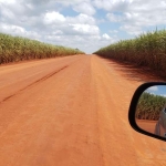 Fazenda 156 Alqueires, 124 Alqueires em Cana, Terra Boa e Plana, Benfeitorias Simples, Beira de Asfalto, Ótima Localização