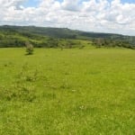 Fazenda 158 Alqueires, 100 Alqueires em Pasto, Formada para Pecuária ou Eucalipto, Casas Sede e Caseiro, Curral, Açudes, Topografia Ondulada