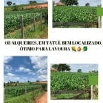 Chácara 3 Alqueires, Ótimo Para Lavoura, Estrada Boa, Ótima Localização, Casa Sede