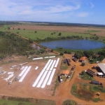 Fazenda 1367 Alqueires, 2500 Hectares, 2736 Hectares, Rico em Água, Curral, Barracão, Casa Sede, Alojamentos, Dupla Aptidão, Ótima Localização