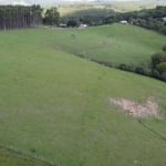 Fazenda 160 Alqueires, Rica em Água com Açudes e Ribeirão, Formada em Pasto, Topografia Caída, Casas Sede e Funcionários, Curral, Fácil Acesso