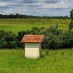 Chácara 2 Alqueires, Ótima Topografia, Água Corrente no Fundo da Propriedade, Sem Benfeitorias, 3 Km do Asfalto