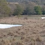 Chácara 4,3 Alqueires, 1 Casa Sede, Barracão, 3 Tanques com Muita Agua