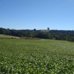 Sítios 6 Alqueires, Sem Casa, Só Terra, Rico Em Água, 25 km De Itapetininga