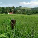 Sítio 17 Alqueires Sendo 8 Eucalipto,Planta 5 Alqueires,Casa Sede 2 Dorm,Casa Caseiro,Pomar,Galinheiro,Canil,Corrego,12100m2 APP,Pasto,Mangueira Gado