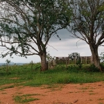 Sítio com 12 Alqueires ótimo para criação de gado... 7 km d Asfalto, 28 km d ANGATUBA,  não tem casa, localização muito boa... (Leve ondulado)