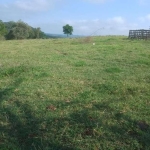 Sitio 12 Alqueires FORMADA NO PASTO  BOA TOPOGRAFIA TERRA DE CULTURA RIBEIRÃO AO FUNDO  NÃO TEM BENFEITORIAS, APENAS TERRA  7 KM DA RAPOSO TAVARES 22