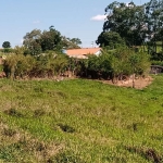 Sítio 5,3 Alqueires Casa Sede,Bom de Agua,Ótimo Pasto Pecuária Corte e Leite,Resfriador de Leite,Vocação para Granja,Criação de Frangos