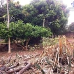 Terreno  comercial à venda, Jardim Bela Vista, Valinhos.