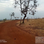 Fazenda para Venda em Alexânia, Centro, 3 dormitórios, 1 banheiro, 1 vaga