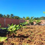 Terreno Zona de Expansão - Três Porquinhos 342m²