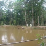 Sítio para Venda em Mogi das Cruzes, Botujuru, 2 dormitórios, 3 banheiros, 10 vagas