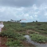 TERRENO À BEIRA MAR DE 800 M2  À VENDA NA PRAIA DE MARACAJAU - BARRA DE MAXARANGUAPE RN